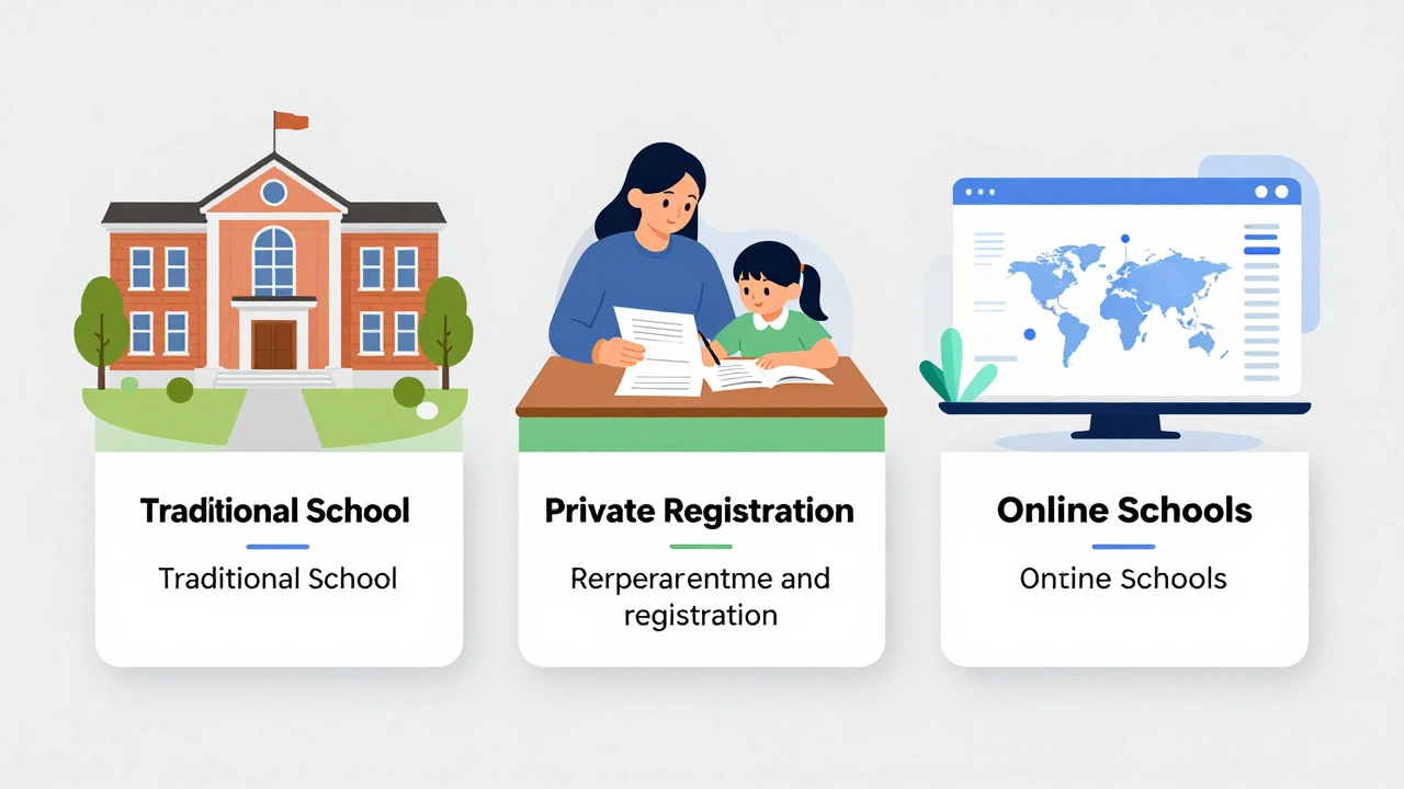 Illustration of different education pathways and structures